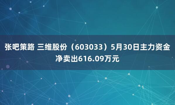 张吧策路 三维股份（603033）5月30日主力资金净卖出616.09万元